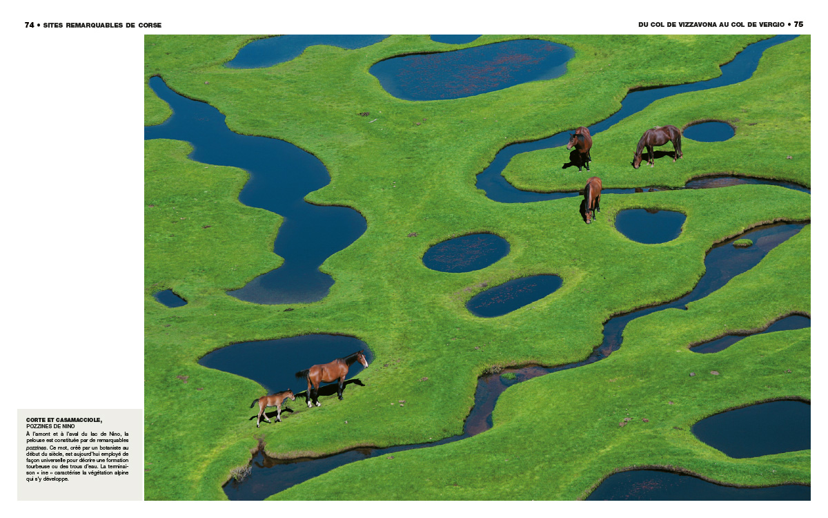 Feuilletage-sites-remarquables-de-corse-corte-et-casamacciole