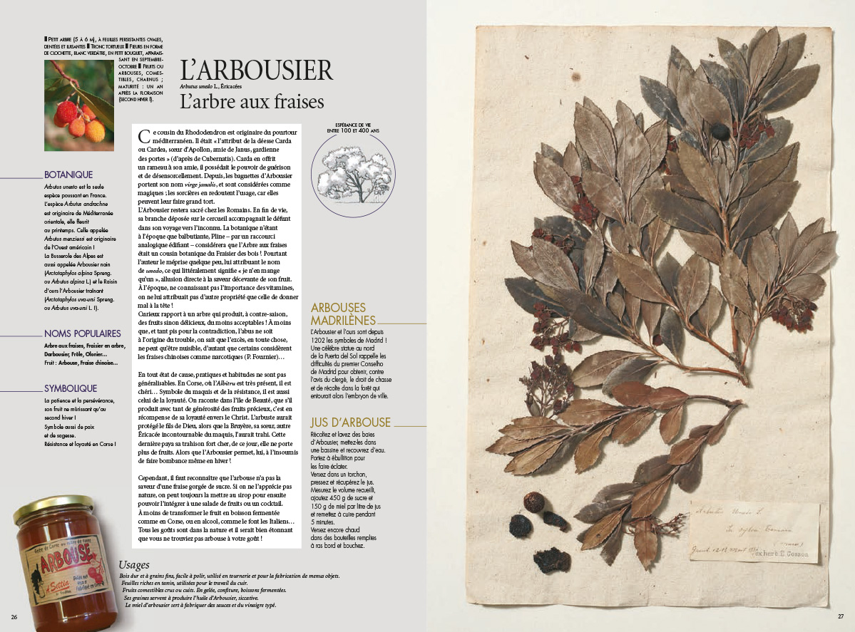 L Herbier Mediterraneen Editions Gilletta