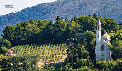 Bellet Nice et son vin-Feuilletage 2_Château de Crémat