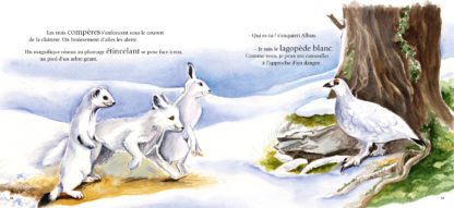 Alban_p. 18-19-Alban_p.8-9-Couv-Alban le petit renard blanc-nature-montagne-alpes-pyrénées-sauvage-animal