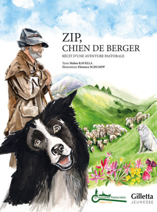 Zip, chien de berger-Pastoralisme-alpes-montagne-biodiversité-éleveur-mouton