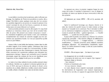 Crim-a-la-mairie-polar-nice-nicois-enquete-detective-garri-gasiglia-meurtre-ville-policier-thriller