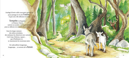 Frisson-l-anon-cherche-un-ami-album-jeunesse-nature-animaux-illustration-amitie-ane-montagne-aventure-courage